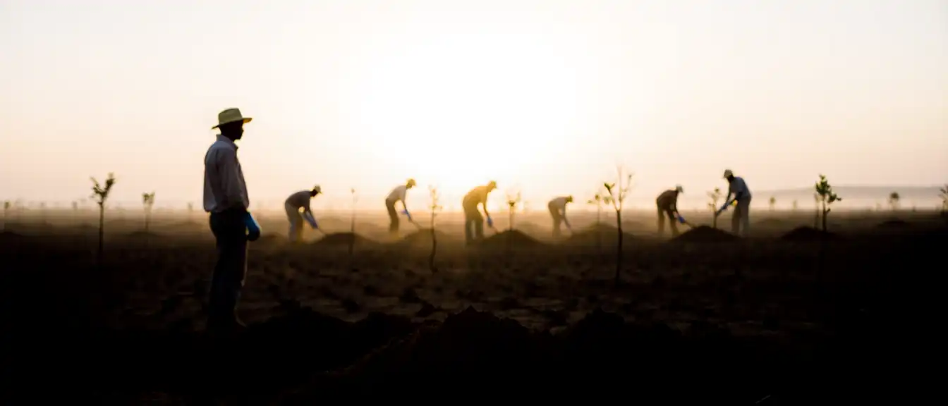Андрей Бочаров предложил сделать Волгоградскую область пилотным регионом для восстановления защитных лесополос